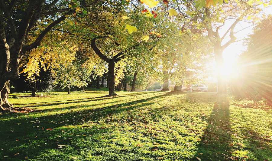 Children And Nature: How To Get Little Ones Interested In The Outdoors