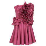 Adage Dress Plum